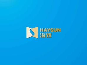 海智品牌VI設計 海雙信息科技的企業(yè)形象與文化傳達